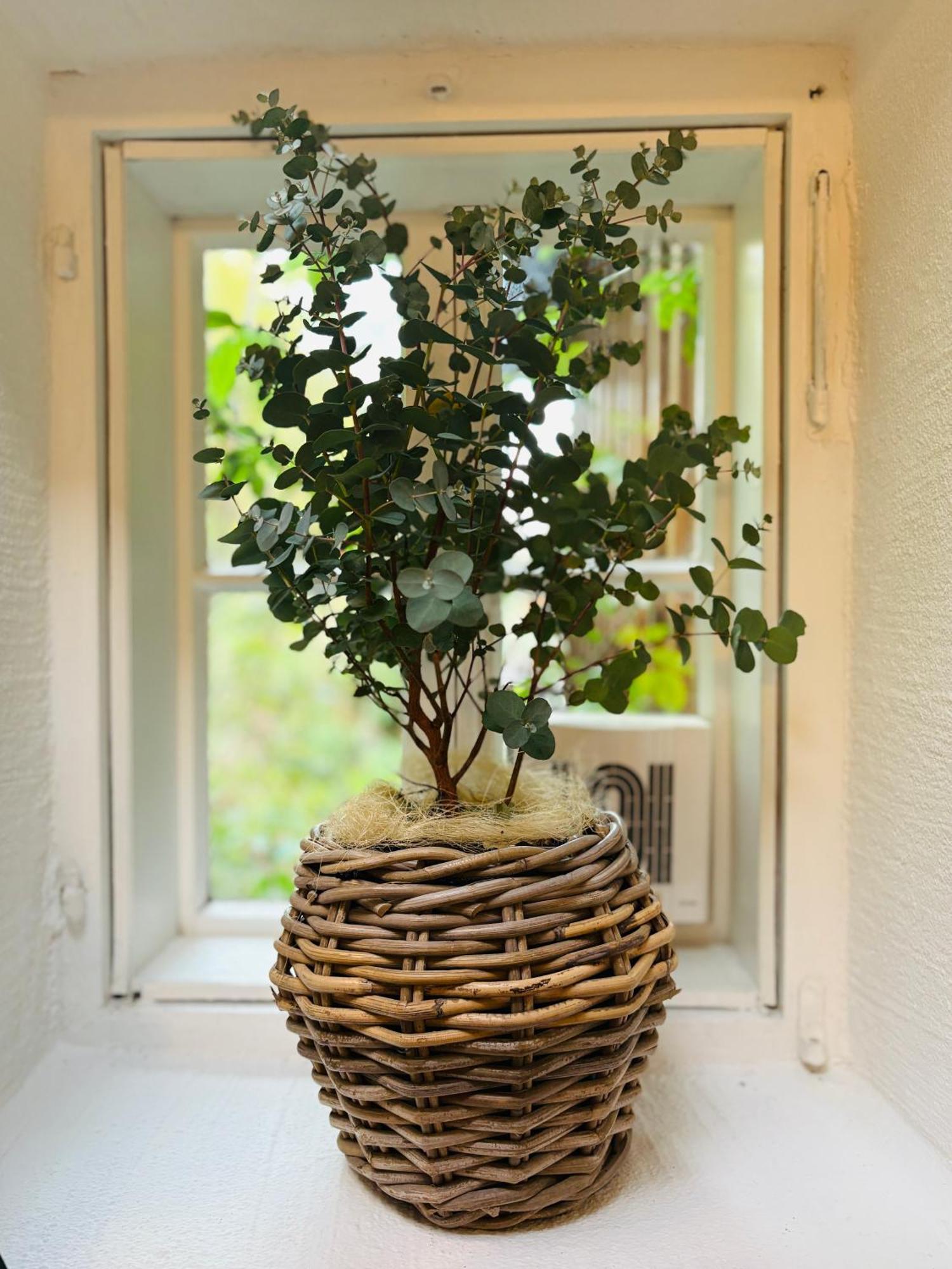 Apt. Stone-Lodge Salzburg Buitenkant foto